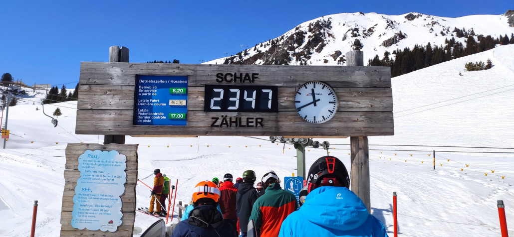 Schaf (Seckel)-Zähler am Tomeli