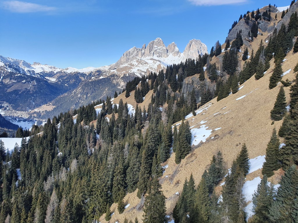 Sudtirol_Oli_2022_by_Markus_Hahn (68).jpg