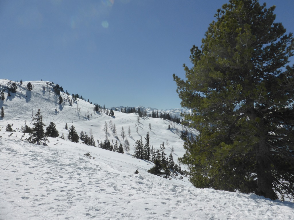 Hinterseite der Bergstation am Hinterfager
