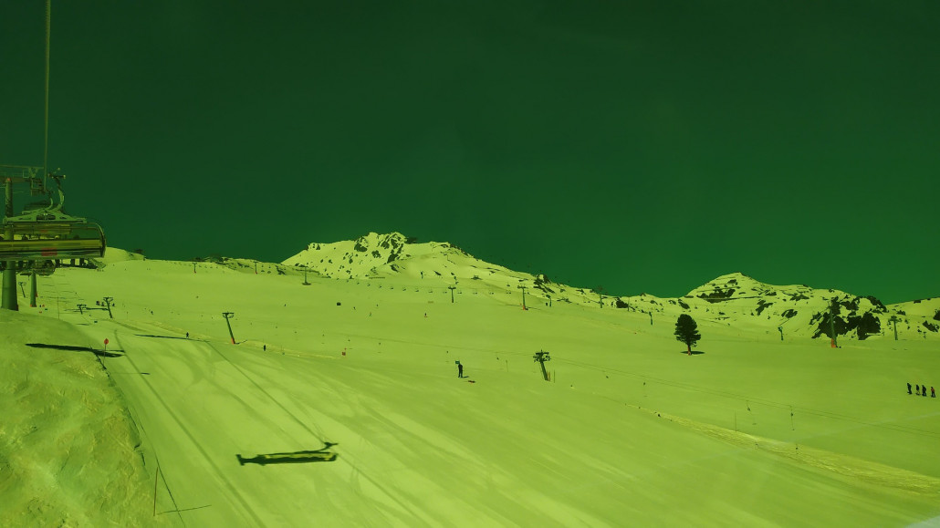 Hinter dem einzelnen Baum waren vormittags fast keine Spuren