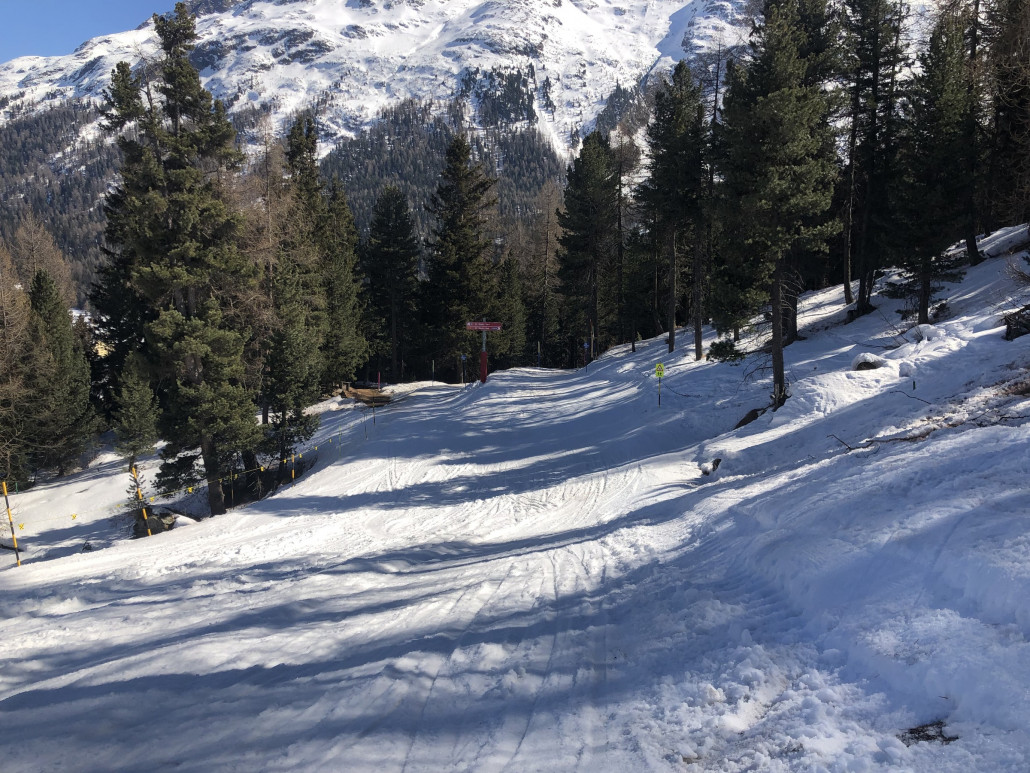 Die Talabfahrt St. Moritz Bad mit Frühlingsstimnung. Weiter unten hatte der Weg dann auch schon richtige Pfützen und braune Stellen, aber da war es mir zu schmal zum Fotografieren.