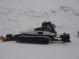 und der nächste der Leitwolf