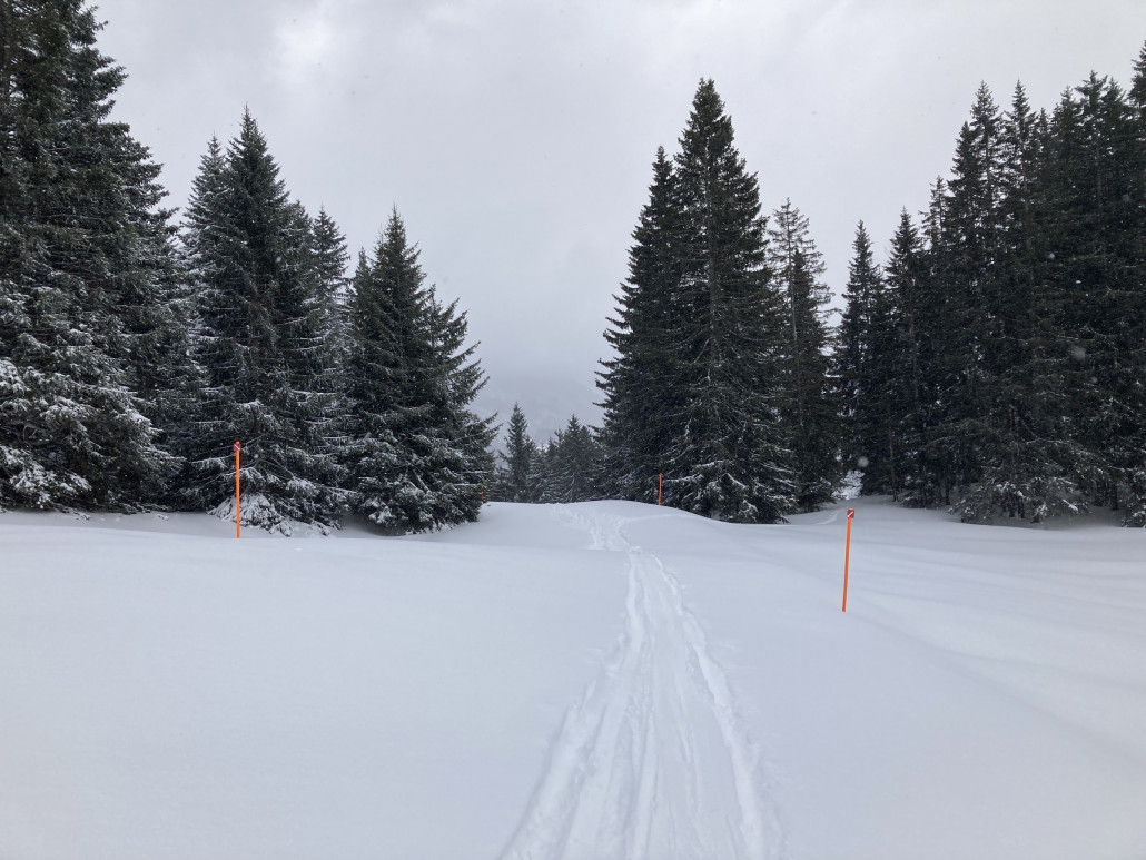 Talabfahrt 68b nach Valbella. Die Abfahrt wurde nach dem nächtlichen Schneefall nicht erneut präpariert. Die Folge: 20cm Powder auf der Piste.
