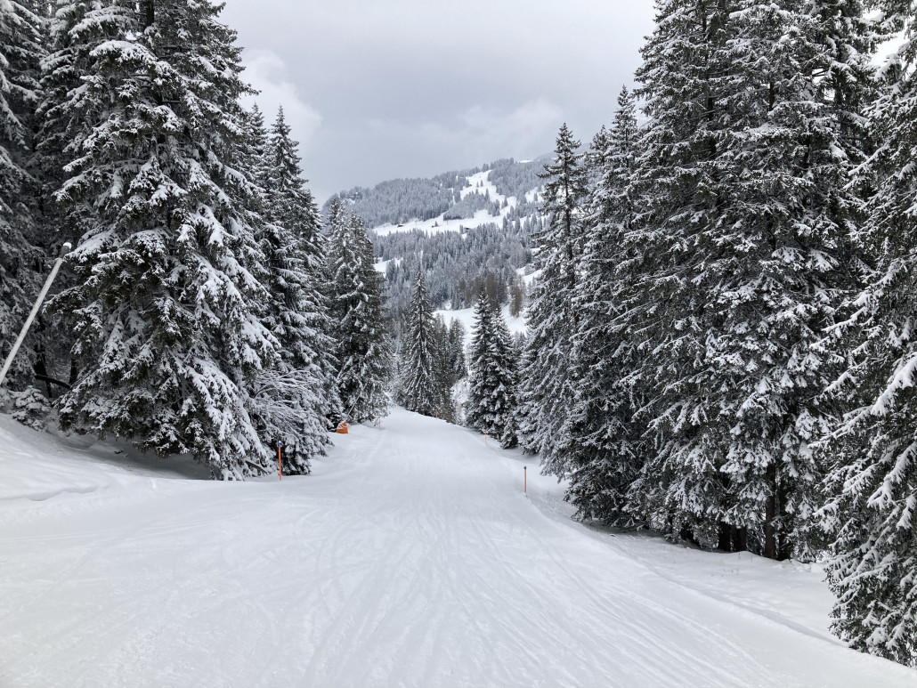 Talabfahrt Churwalden. Langsam, heute musste ich drei Mal aus der Bindung: nach dem SL Proschieri, bei der Bergaufpassage und oberhalb des Eisfels in Churwalden. Normalerweise komme ich überall ohne Probleme durch.