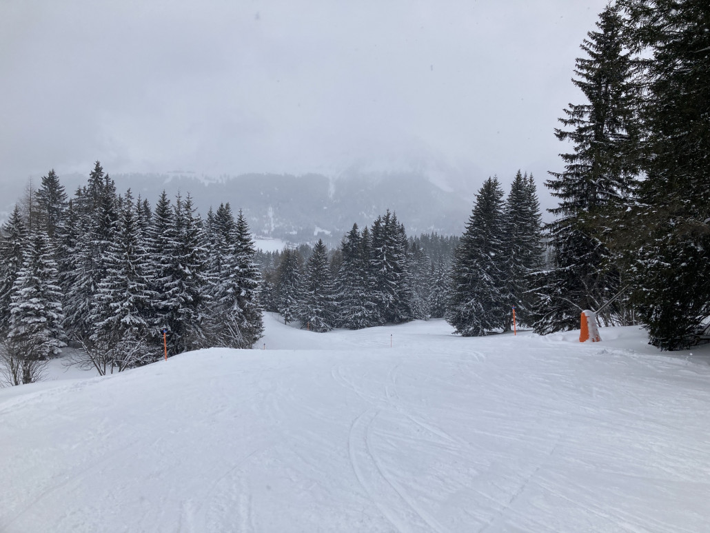 Bei Schlechtwetter bietet die Lenzerheide eine Vielfalt an Waldpisten. Wie beispielsweise die 40a.