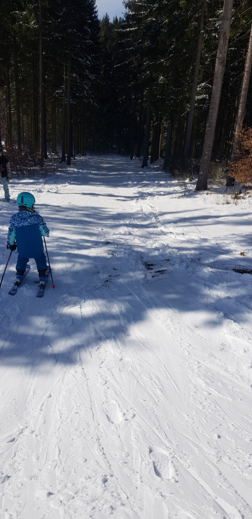 Waldabfahrt um die kleine Büre gut zu fahren