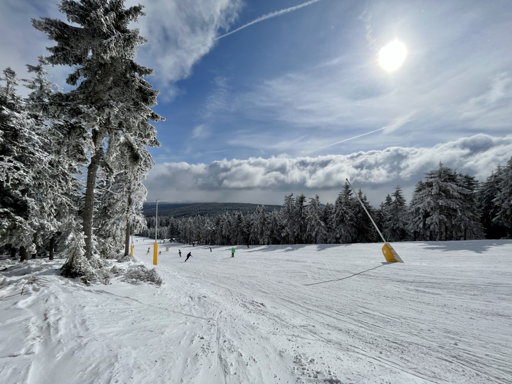 Damska ganztags nie zu voll und bis zum Schluss gut gehalten