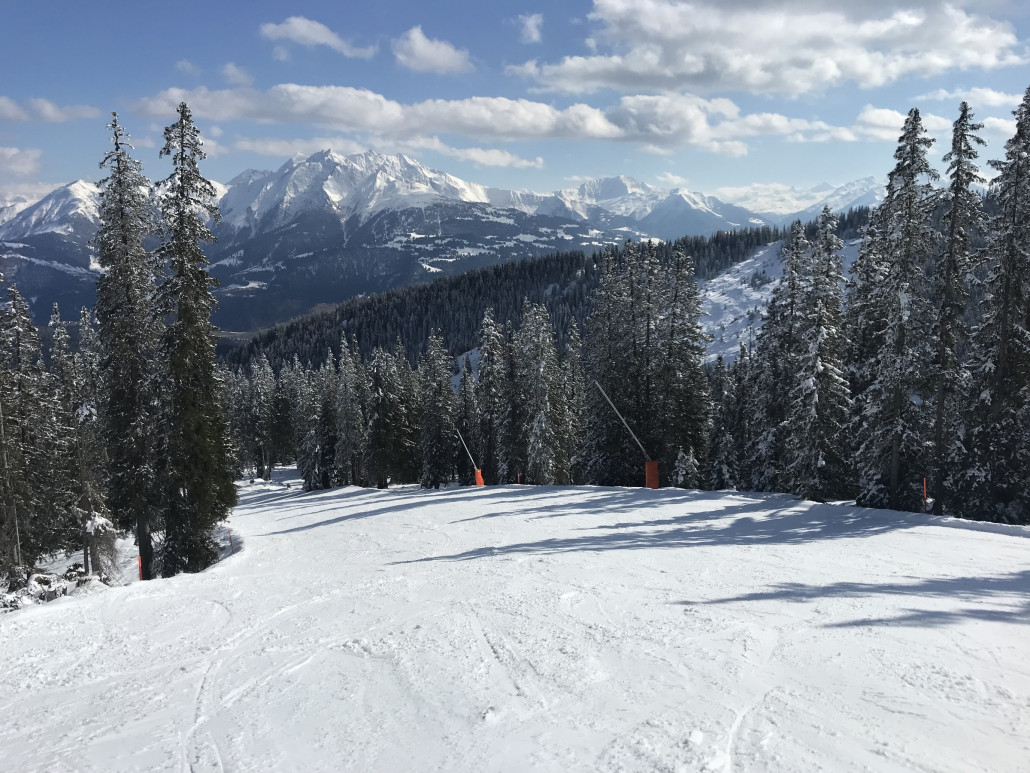 Die Bäume sind selbst um 16:30 Uhr noch teilweise weiss