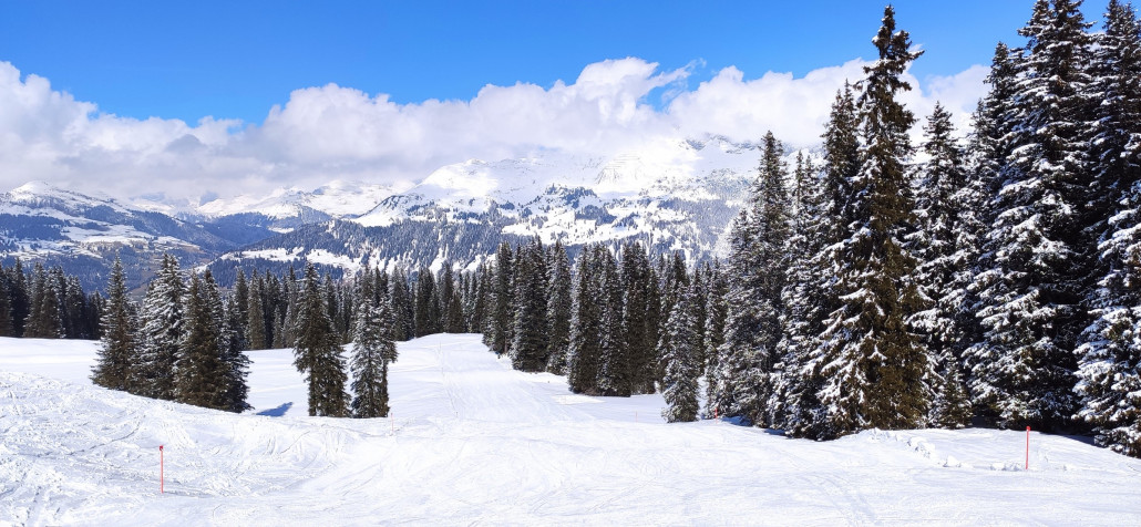 Piste 24 mit eingeschneiten Bäumen