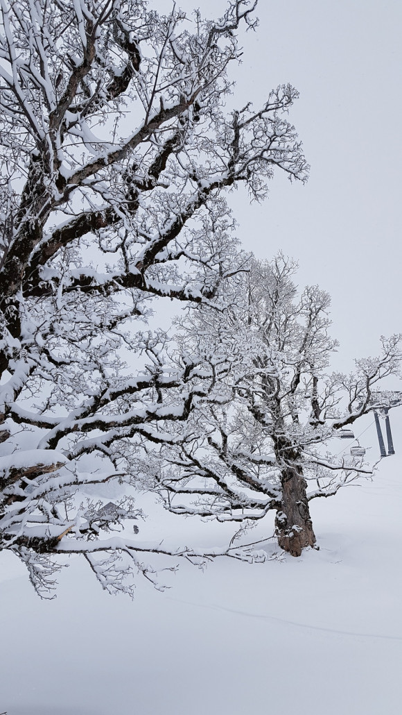 Aber zumindest winterlich und kälter