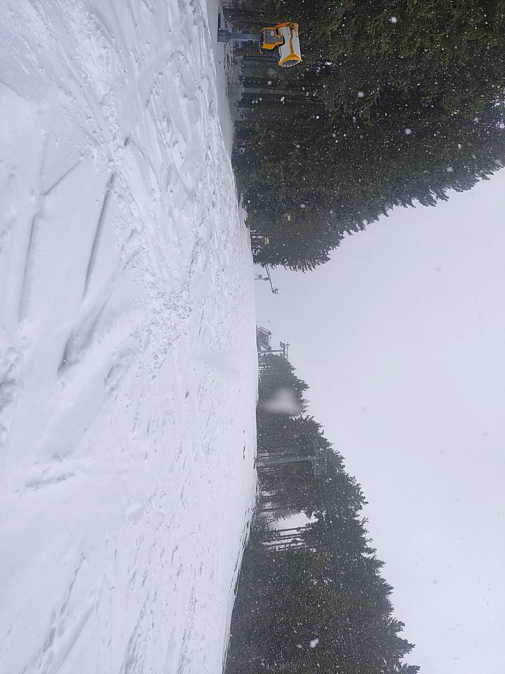 Quickjet bei Schneefall am Nachmittag