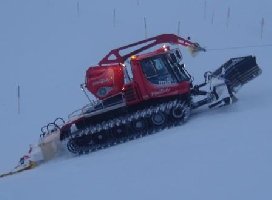 und noch ein Bild das ich bearbeitet habe