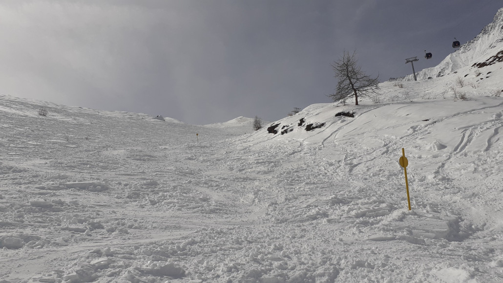 Gelbe Route 13 Weisse Perle