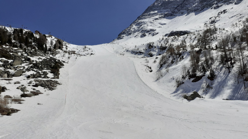 2 Galen auf Plattjen am Mittag