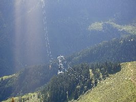 Safari Express 003.jpg