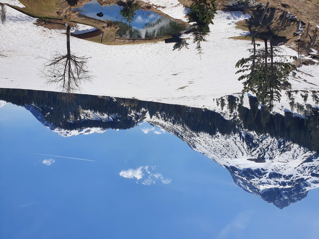 April_Ski_22_LZTG_by_Markus_Hahn (60).jpg