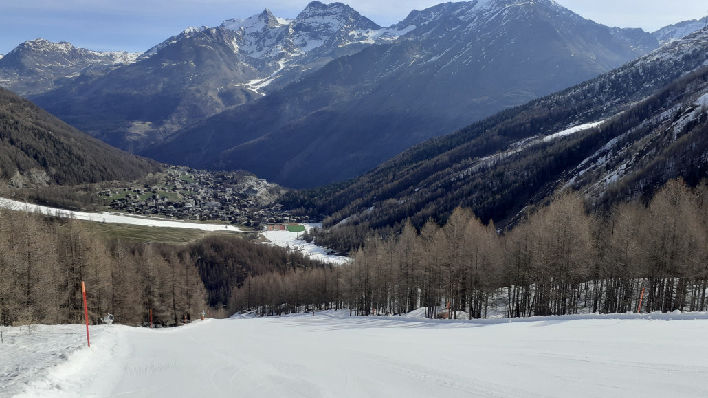 6b Sperwerzucht morgens