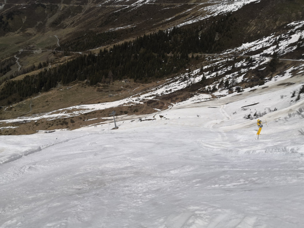 Im Bereich, welcher noch frisch präpariert wurde.