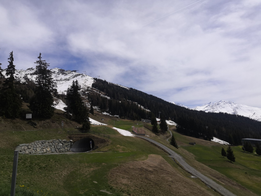 Im Frühling angekommen.