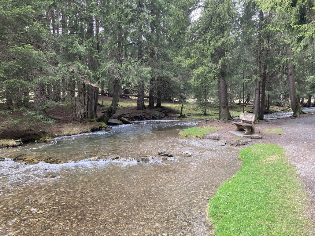 Im Eichhörnliwald zwischen Lenzerheide und dem Heidsee