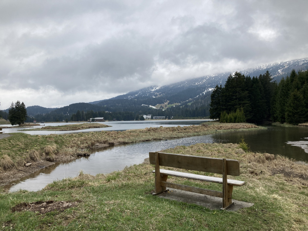 Oberhalb der drei Häuser sind die Überreste der Piste 40a, von rechts oben kommend die der 42b zu sehen.