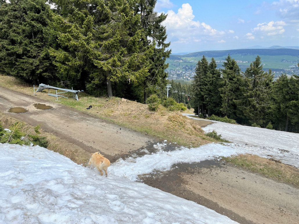 Nach einer Viertelstunde haben wir zu dritt diese steinfreie Verbindung geschaufelt...