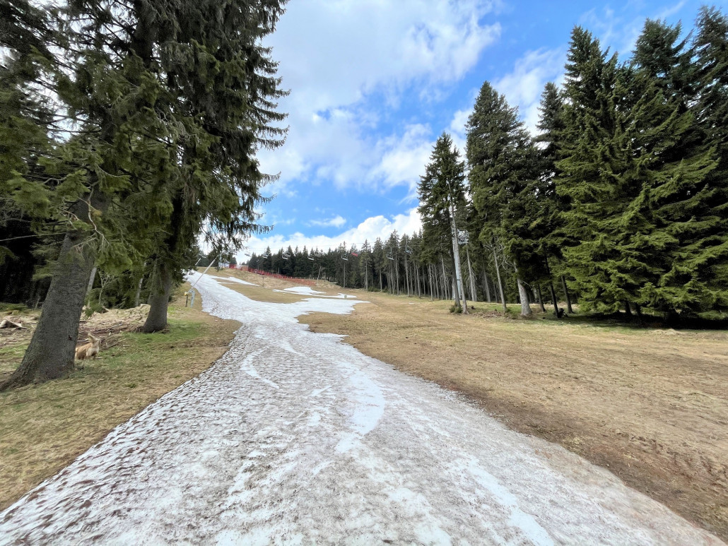 Im Steilhang liegt der Schnee auf noch etwa 1/3 der reguläre Pistenbreite...