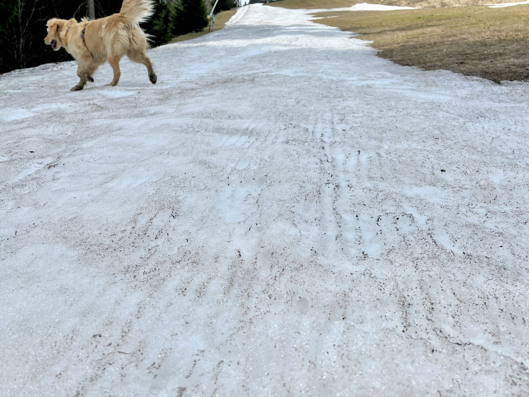 Die letzten Rillen der Saison im Erzgebirge?