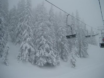 Auf dem Rückweg vom Kohlmais war das Wetter nicht so gut, etwas bewölkt