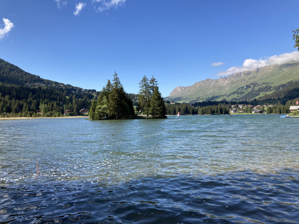 Starker Wind am See: Die wenigern Surfer kamen ohne Probleme ins Gleiten.