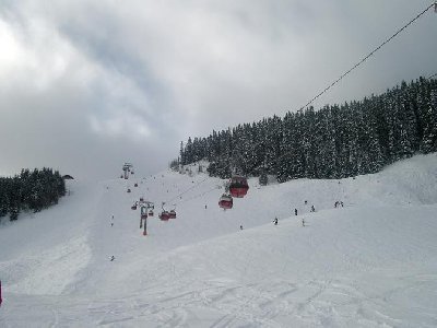 Nach der Umsiedelung war der Zwölferkogel etwas voller