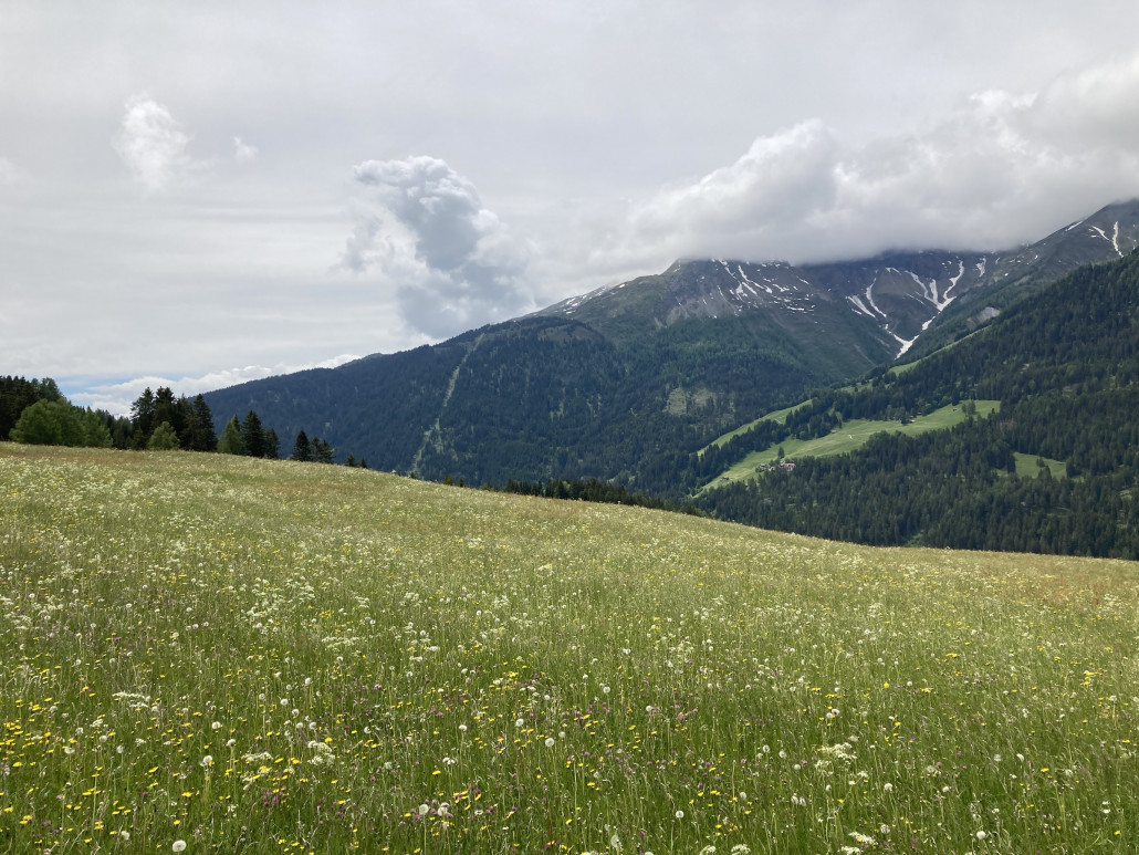 Blick zurück Richtung Churwalden. Durch die Schneise segelt (oder rumpelt?) die Heidbüel-Bahn empor.