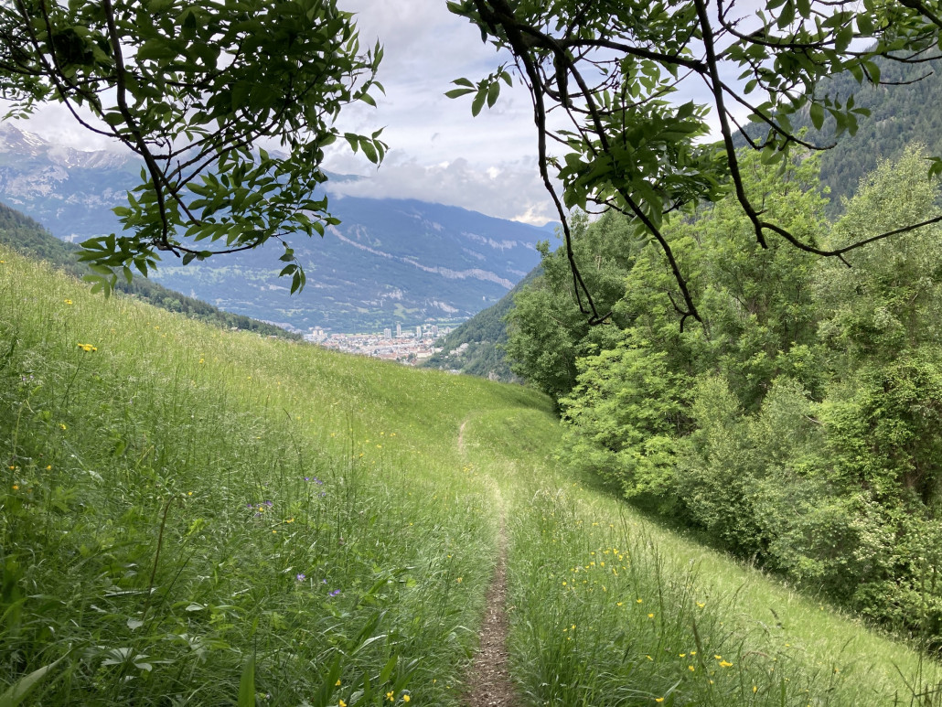 Zeckenschutzmittel wäre angebracht gewesen... Der Tiefblick auf Chur gefällt mir.