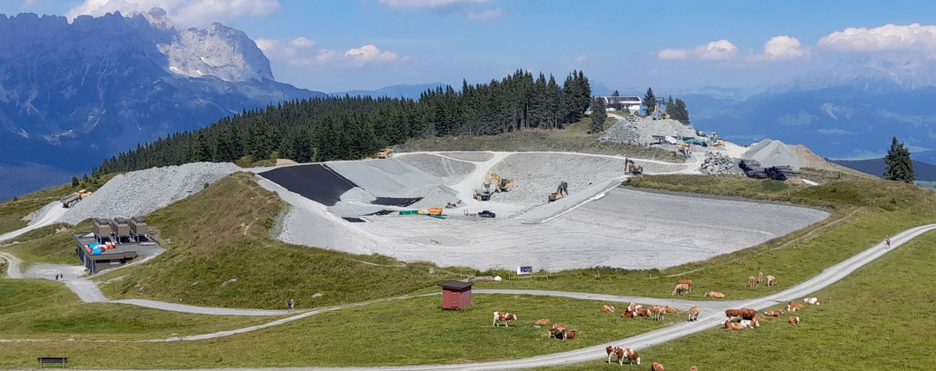Teicherweiterung Tanzboden: Die Kühe stört der Baulärm wohl nicht ... gut so!