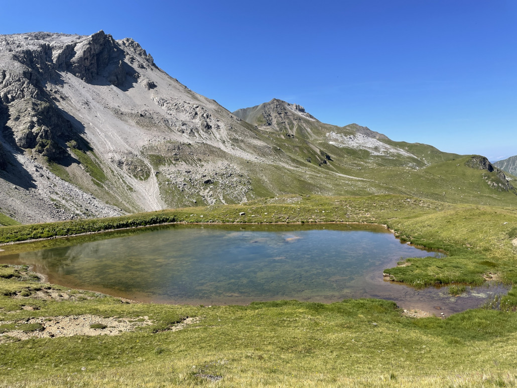 Ein Tümpel unterwegs