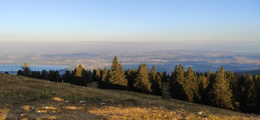 Blick auf den Neuenburgersee