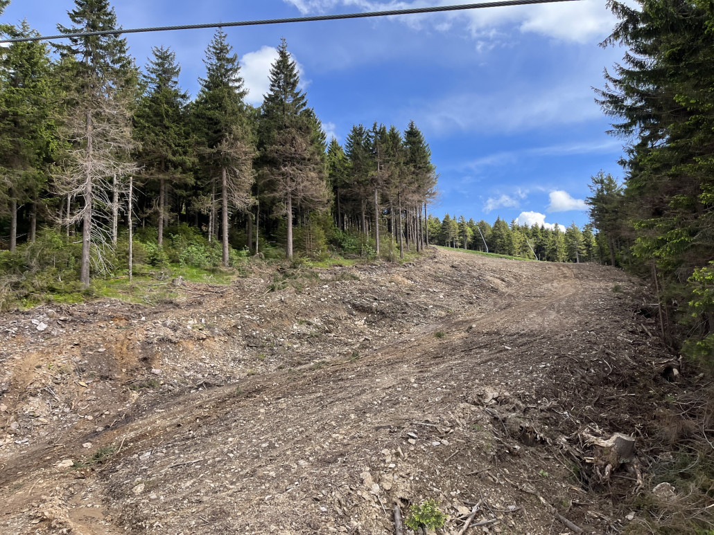 06.06. auch der Blick bergwärts auf die 1a und zur Jachymovksa zeigt die Ausholzung im Randbereich