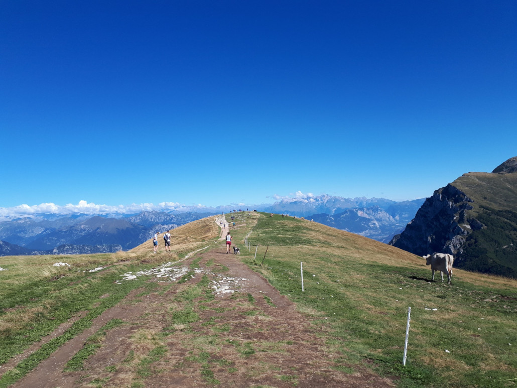 Weite Wiesen nördlich der Bergstation