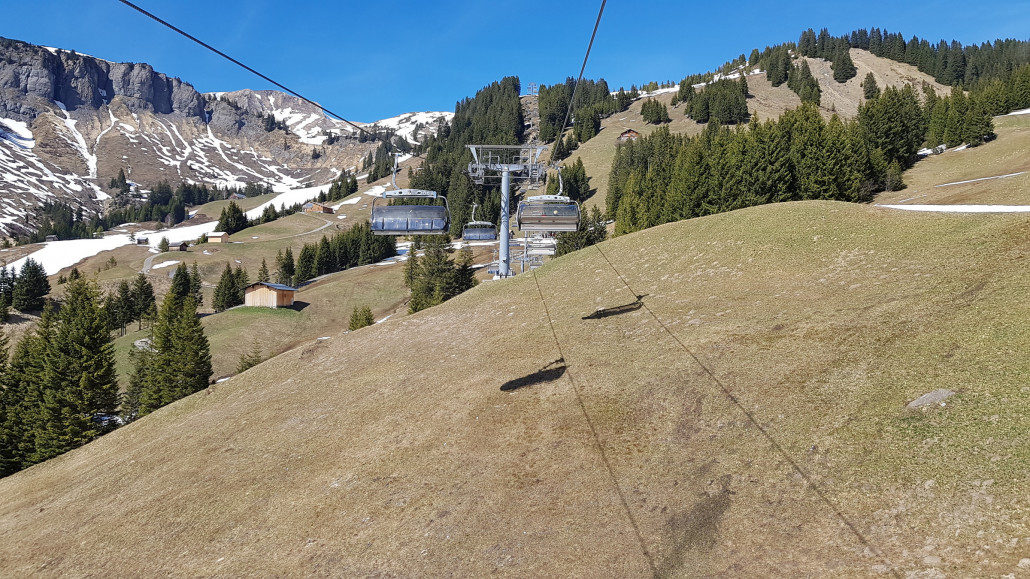 Frühling mit immer saftigeren Wiesen