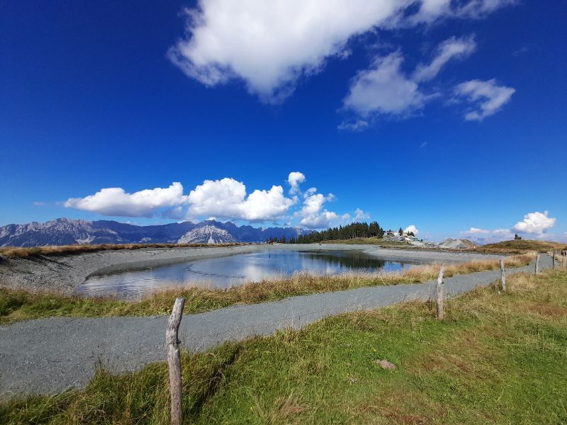 Tanzbodenteich: bald voll