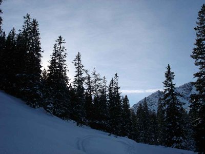 wenigstens wunderschöne Stimmung am Ziehweg und wunderbare Rauhreifkristalle auf dem Schnee
