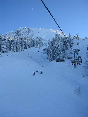 Blick aus der Iselerbahn auf den oberen Teil des Damenhangs