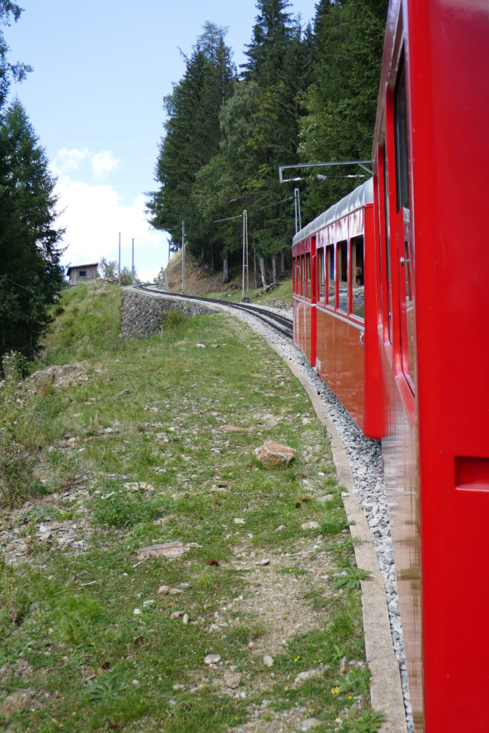 Nach ca. 5 min ging es dann schon los. Die Strecke ist abwechslungsreich und bietet unten ein tolles Panorama auf Chamonix und oben dann in die gegenüberliegenden Berge des Tals.