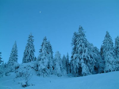 Winter pur an der Talabfahrt nach Bad Ragaz (oberhalb der Mittelstation)