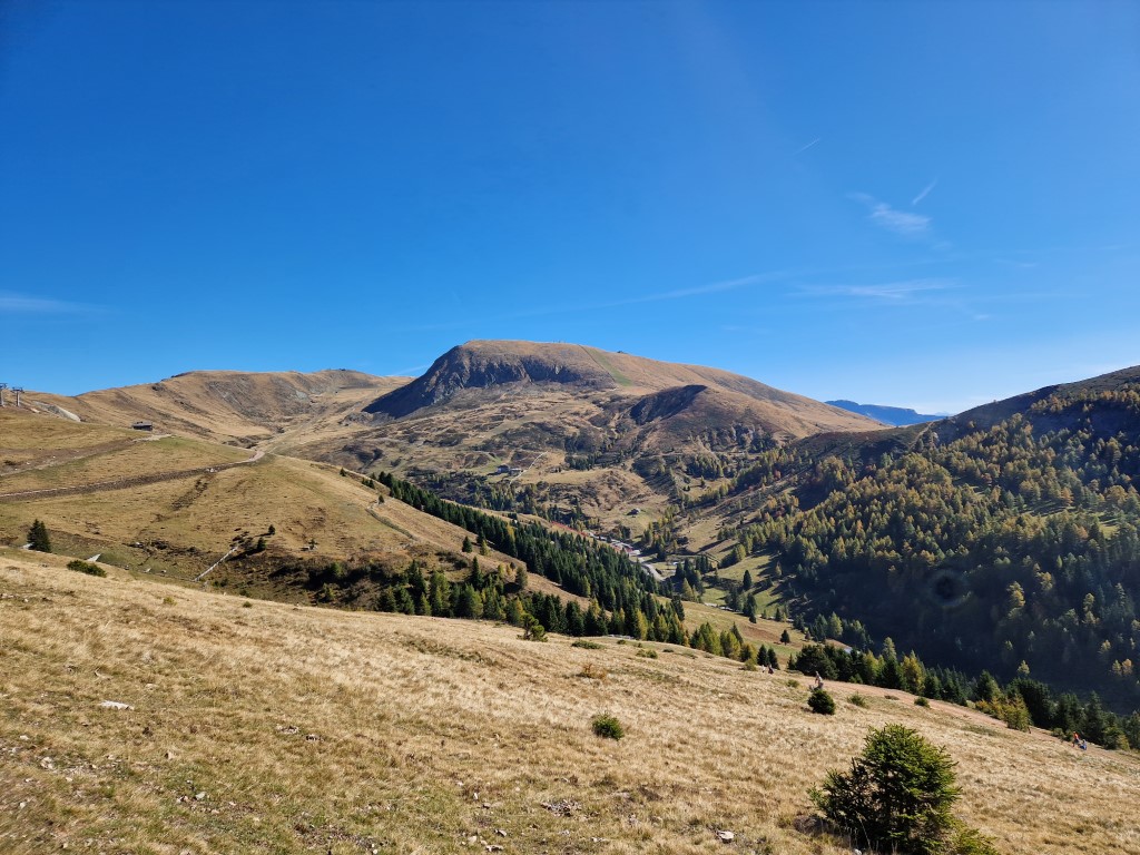 Naifbahn_by_Markus_Hahn (6).jpg