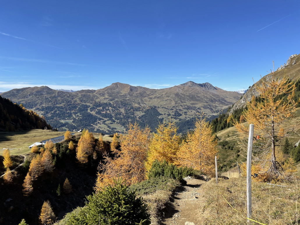 Rothorn - Alp Sanaspans