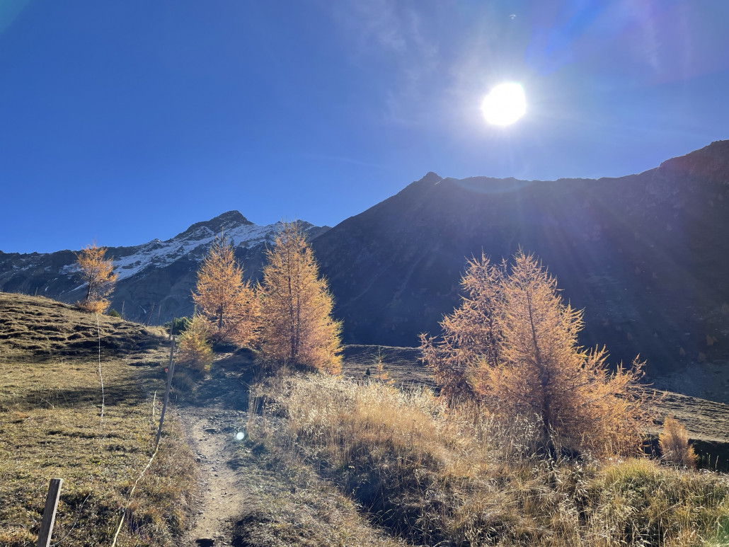 Rothorn - Alp Sanaspans