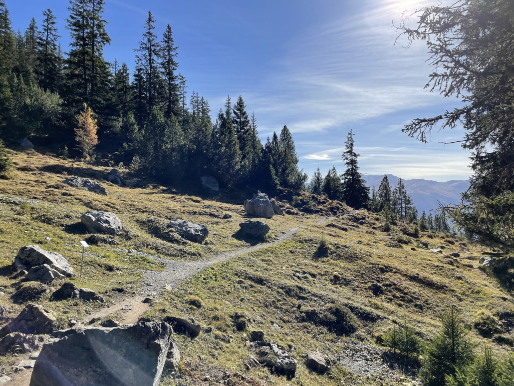 Wasserfall - Scharmoin