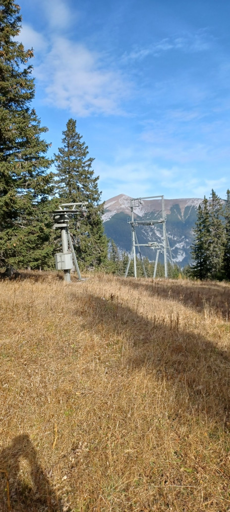 Antrieb und Zwirbelkurve