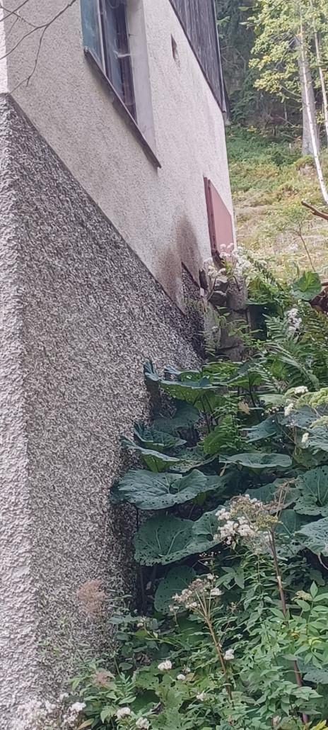 Hier kam einst die Kardanwelle raus